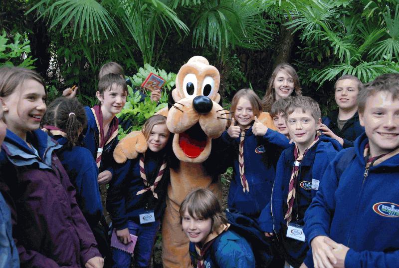 Scouts meet Mini and Mickey Mouse