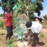 Garden in a bag