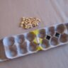 Mancala game